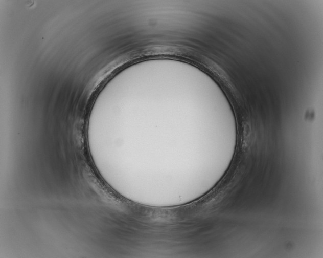 X0000111250786200907231552