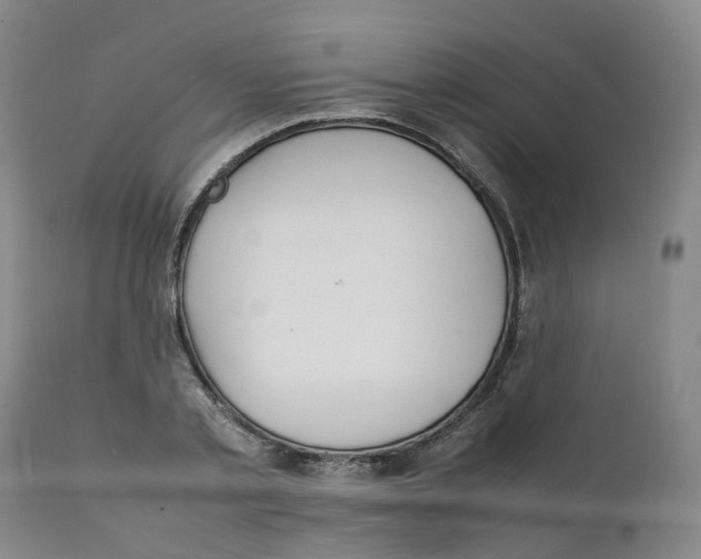 X0000111250789200907231552