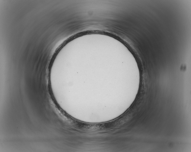 X0000111250791200907231552