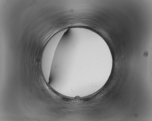 X0000111250793200907231552