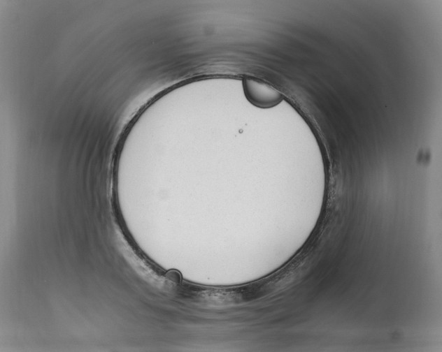 X0000111250795200907231552