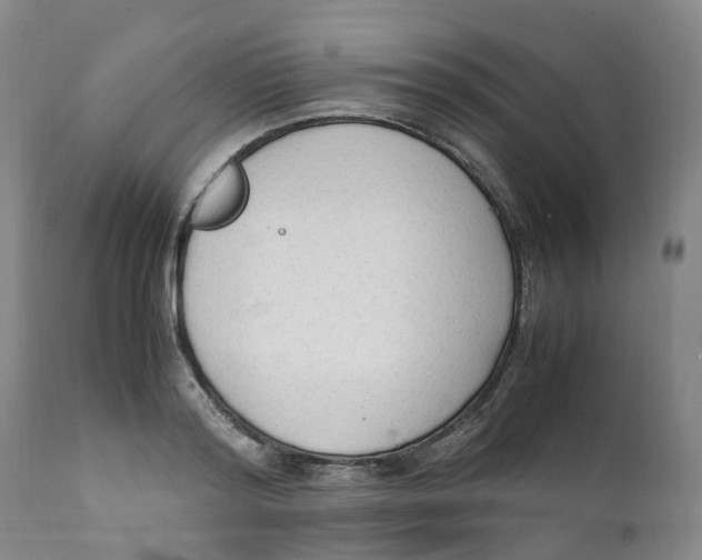 X0000111250796200907231552