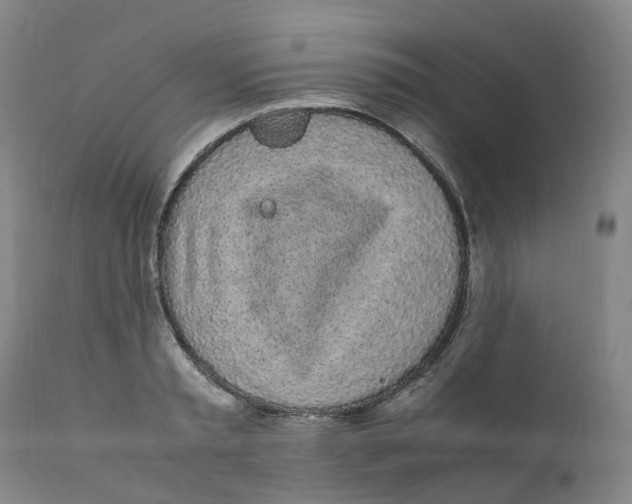 X0000111250797200907231552