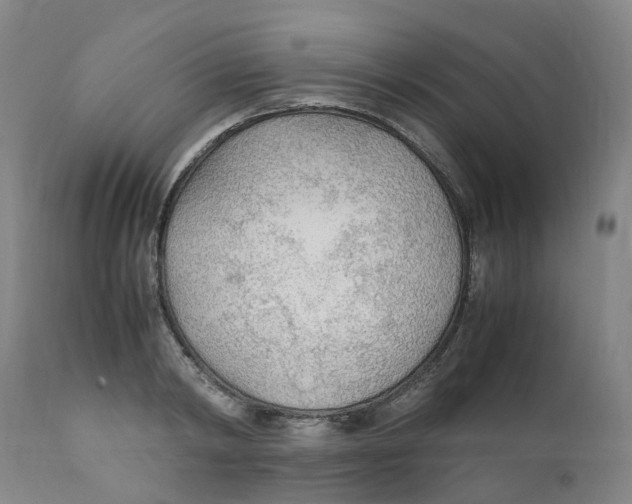 X0000111250798200907231552