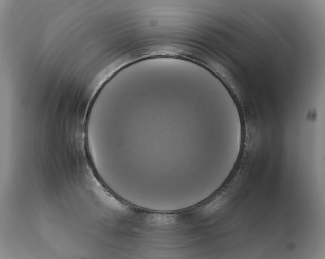 X0000111250802200907231552