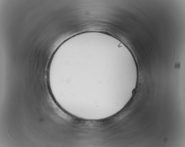 X0000111250803200907231552