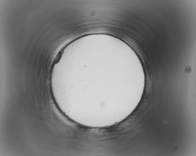 X0000111250805200907231552