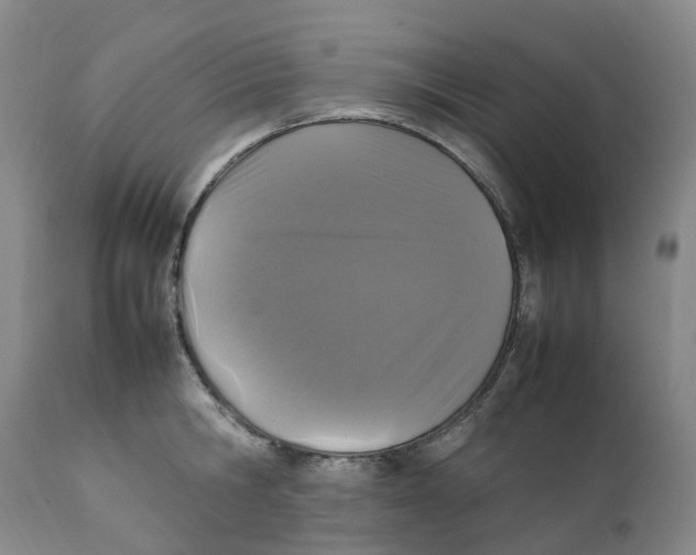 X0000111250806200907231552