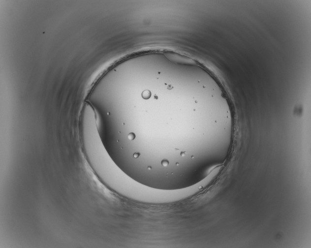 X0000111250807200907231552