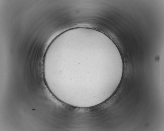 X0000111250808200907231551