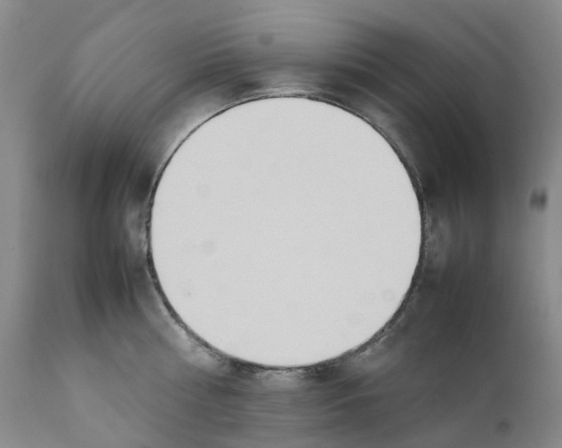 X0000111250810200907231551