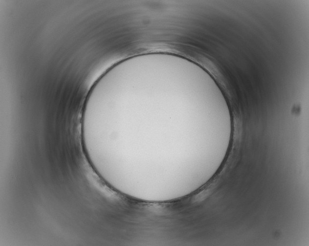 X0000111250814200907231551