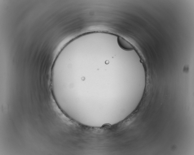 X0000111250815200907231551