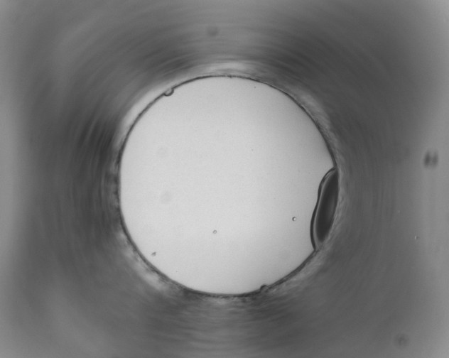 X0000111250816200907231551