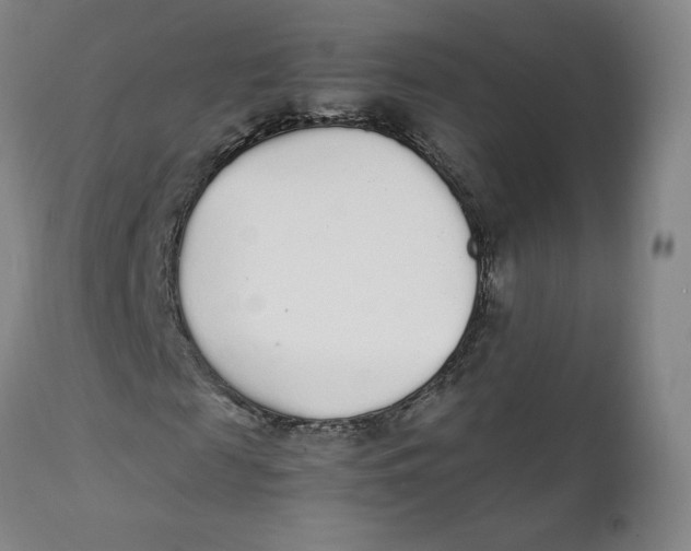 X0000111250817200907231551