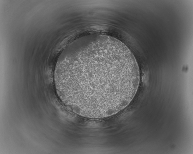 X0000111250819200907231551