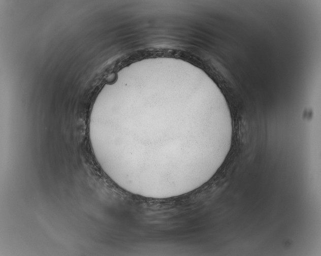 X0000111250821200907231551