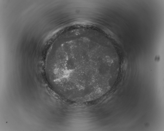 X0000111250822200907231551