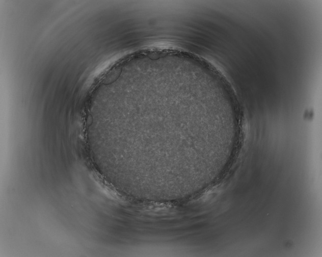 X0000111250823200907231551