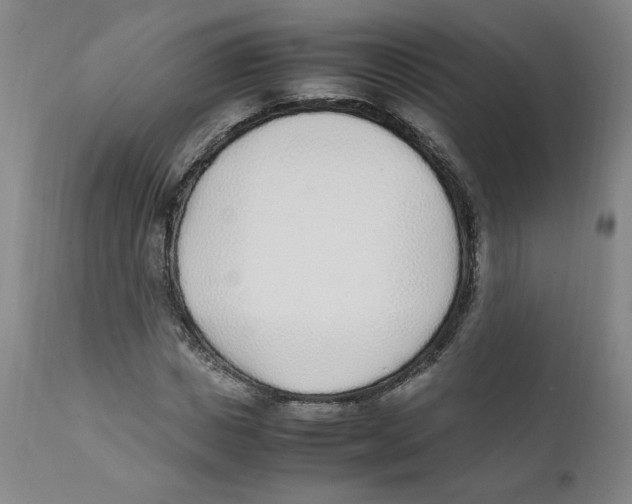 X0000111250825200907231551