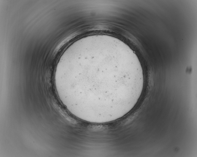 X0000111250826200907231551