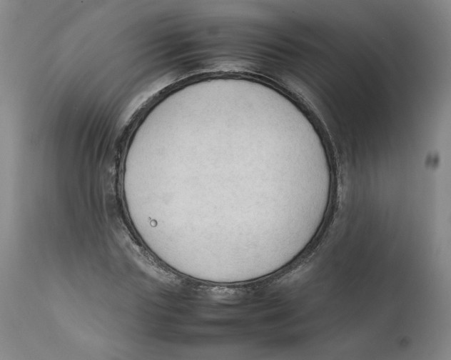 X0000111250827200907231551