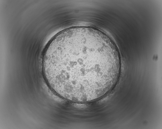 X0000111250835200907231551