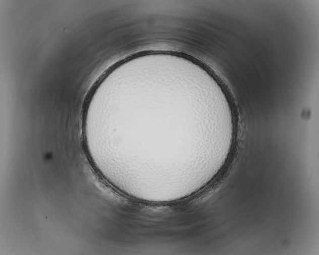 X0000111250837200907231551