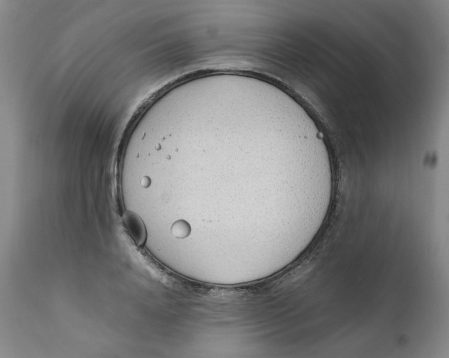 X0000111250840200907231551