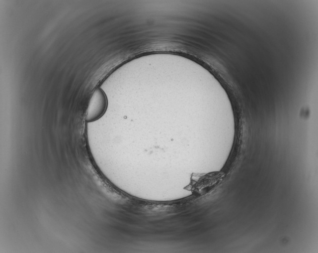 X0000111250841200907231551