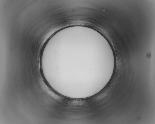 X0000111250843200907231551