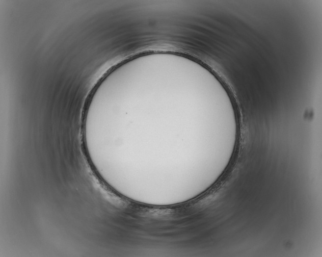 X0000111250845200907231551