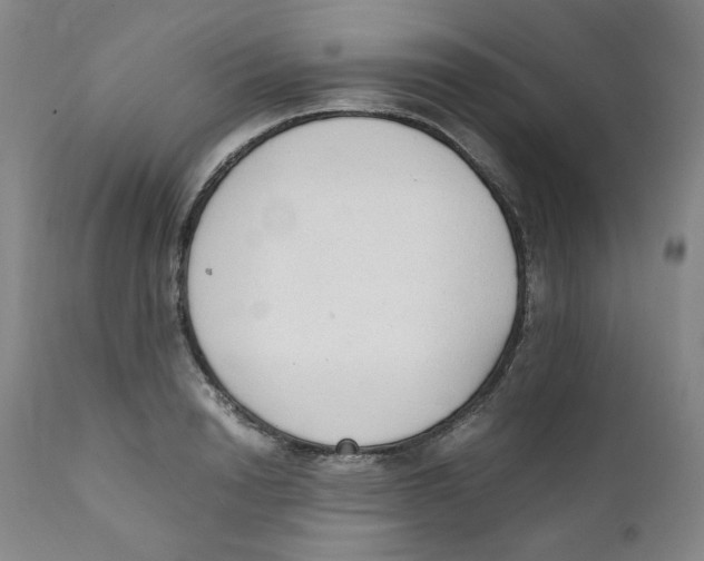 X0000111250846200907231551