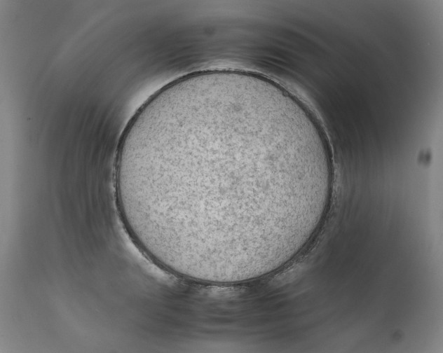 X0000111250847200907231551