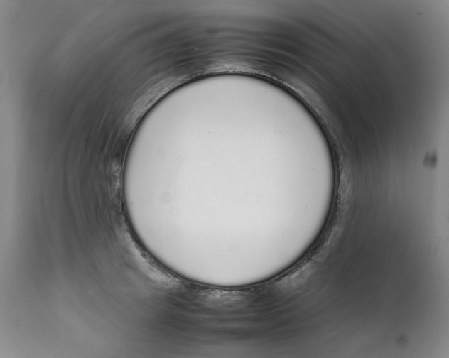 X0000111250849200907231551