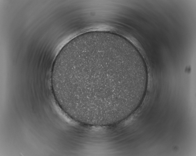 X0000111250850200907231551