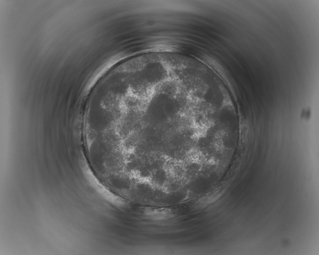 X0000111250851200907231551