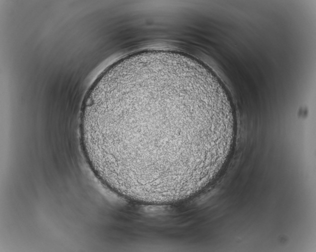 X0000111250853200907231551