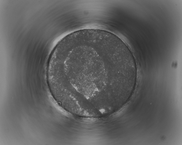 X0000111250854200907231551