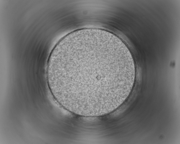 X0000111250856200907231551