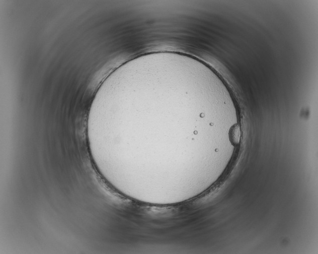 X0000111250857200907231551