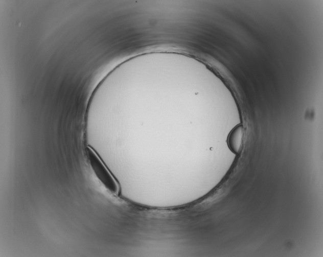 X0000111250860200907231551