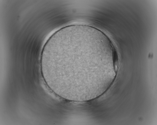 X0000111250864200907231551