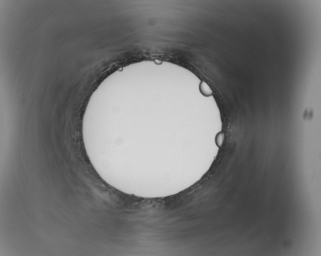 X0000111250865200907231551