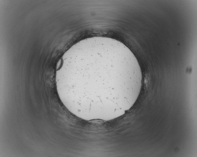 X0000111250867200907231551