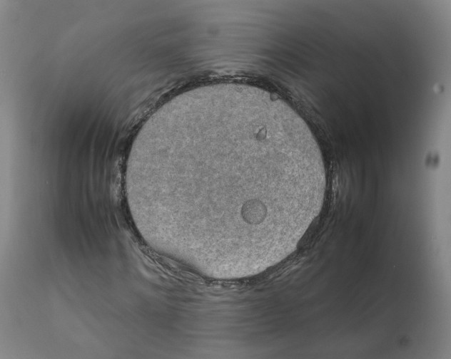 X0000111250868200907231551