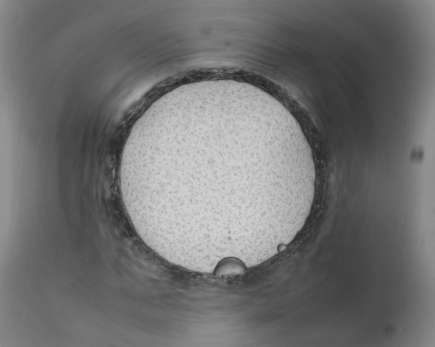 X0000111250871200907231551