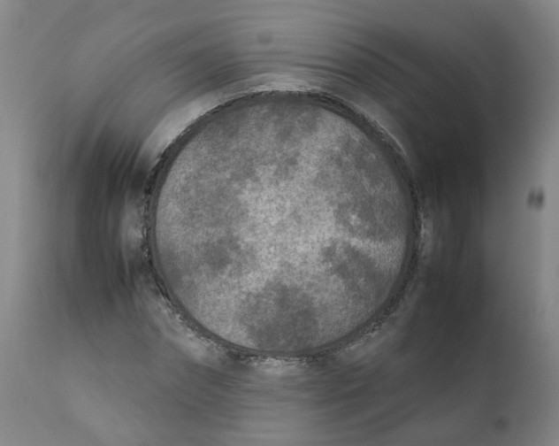 X0000111250874200907231551