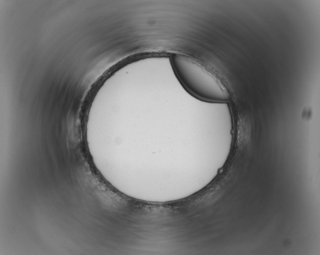 X0000111250876200907231551