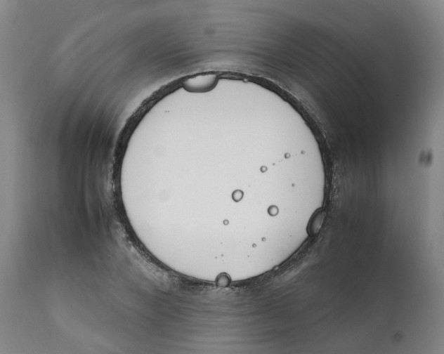 X0000111250880200907231550